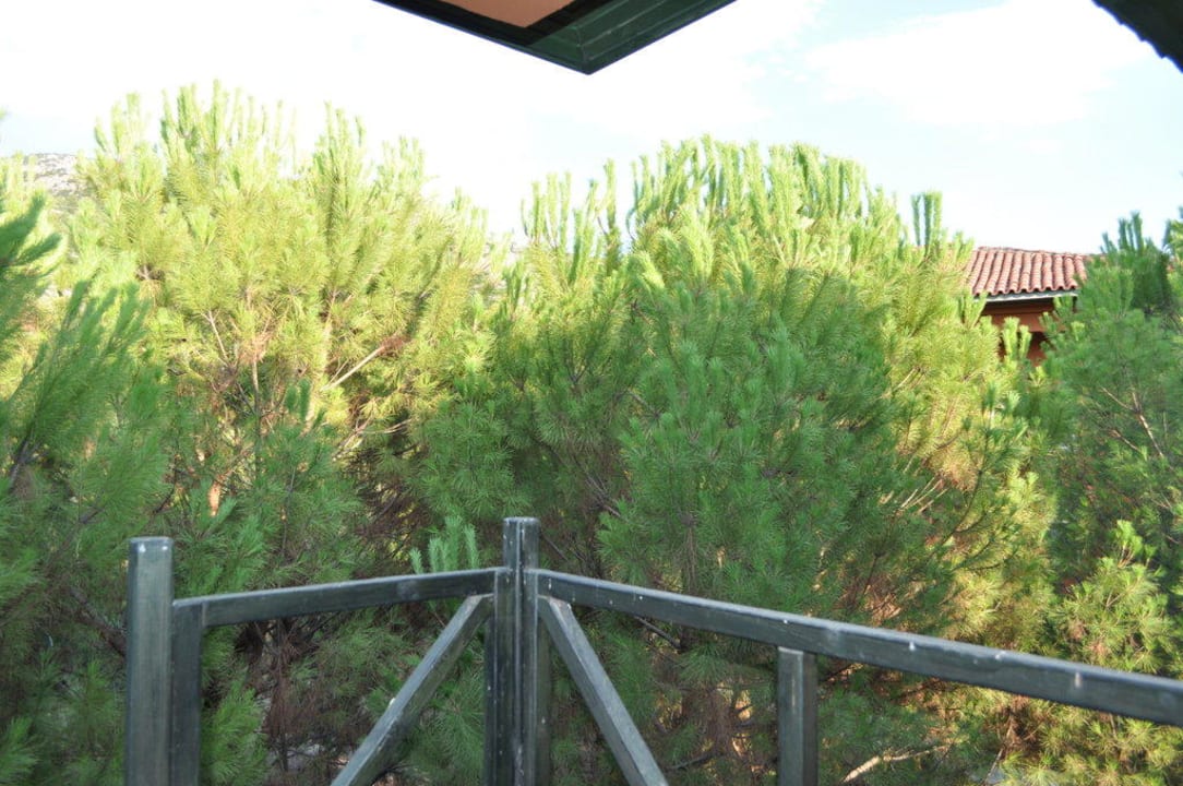 Ausblick vom Balkon Polat Thermal Hotel