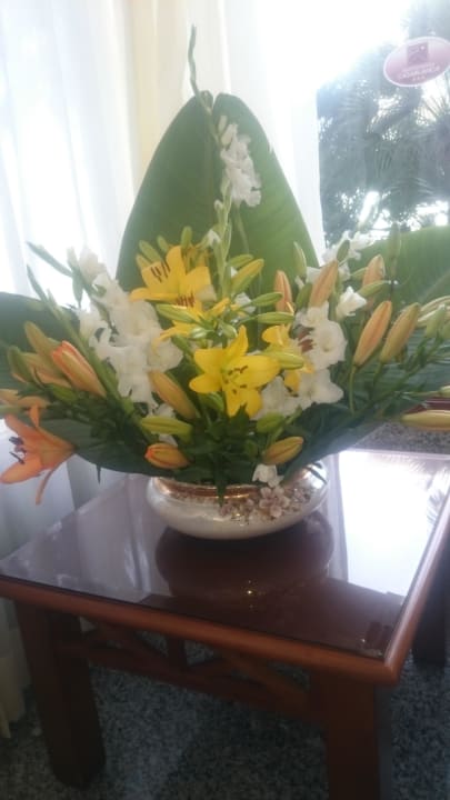 Überall frische Blumen Apartamentos Casablanca