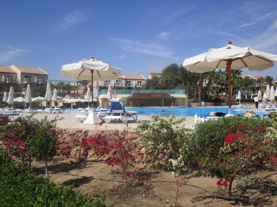 Pool Mövenpick Resort & Spa El Gouna