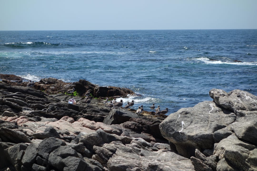 Am Strand Wyndham Garden Salalah Mirbat