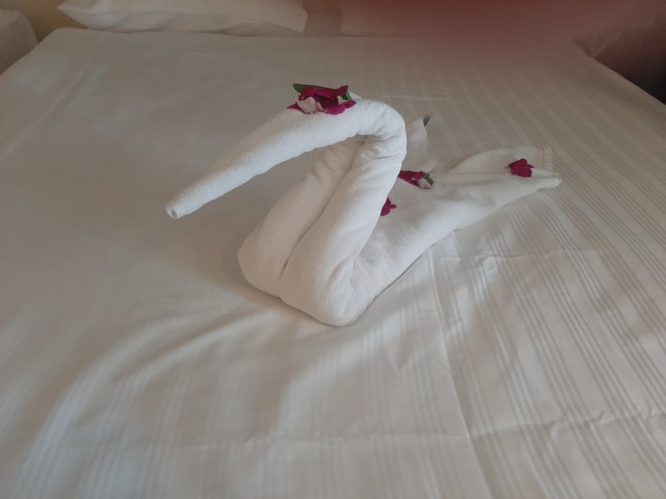 Zimmer Papillon Zeugma Relaxury