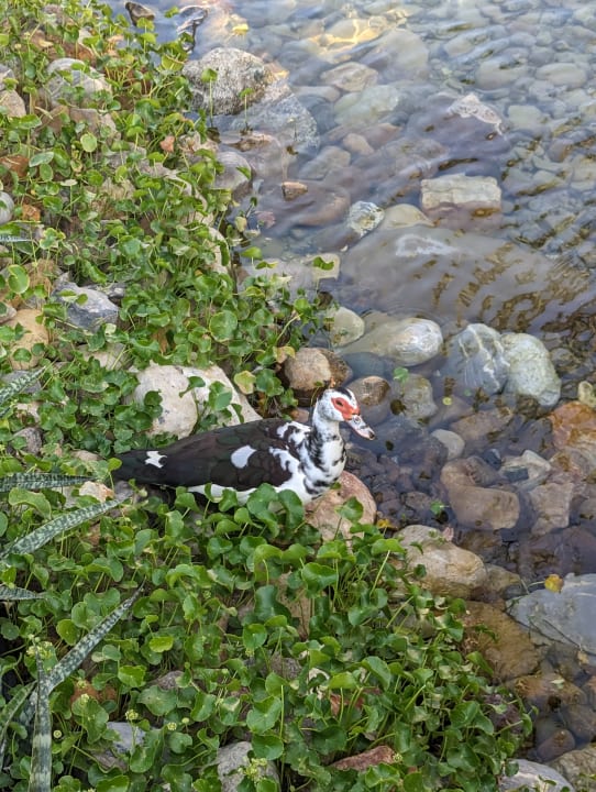 Sonstiges Grand Hyatt Dubai