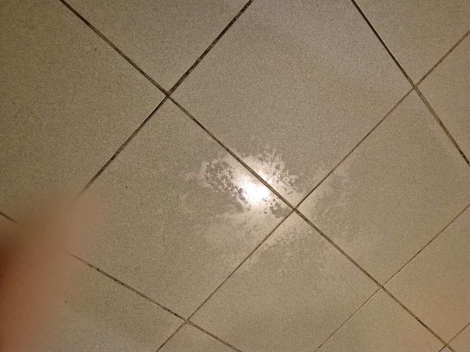 Zimmer Fiesta Resort All Inclusive Central Pacific - Costa Rica