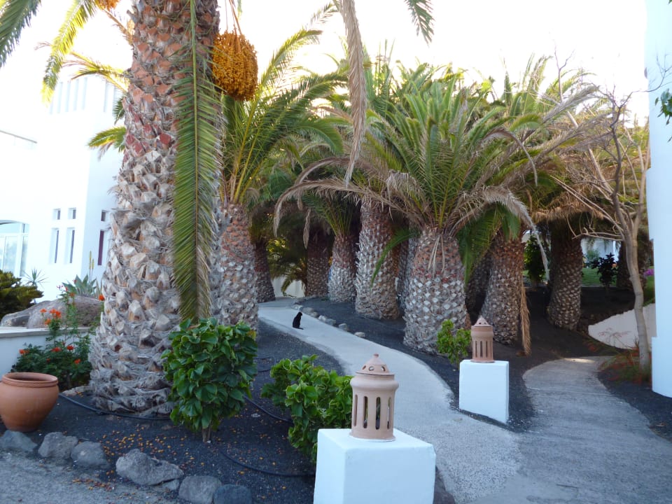 Gartenanlage Club Jandia Princess