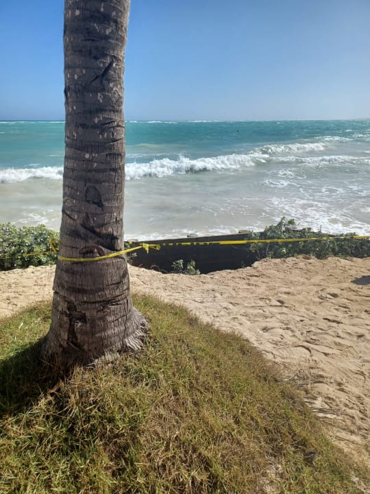 Ausblick VIK Hotel Cayena Beach Club