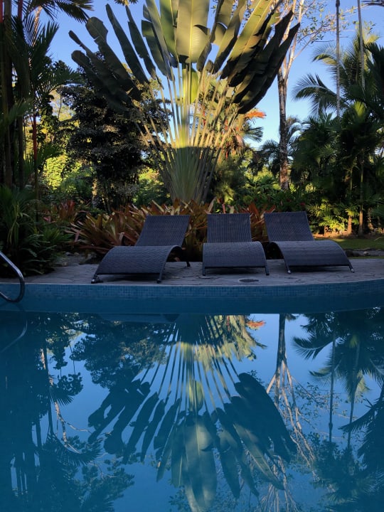 Pool Hotel Banana Azul