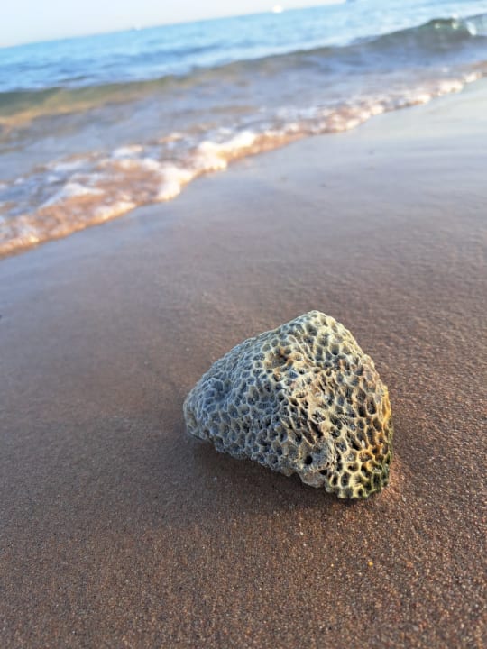 Strand Shams Prestige Abu Soma-Adults Only