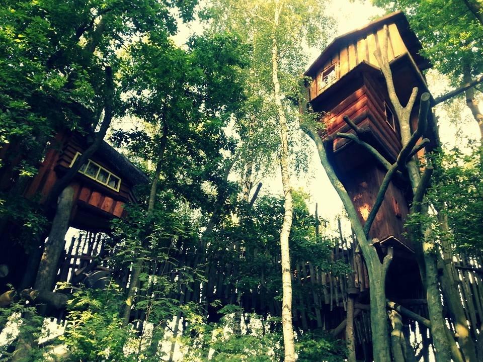 Baumhäuser Die Geheime Welt von Turisede