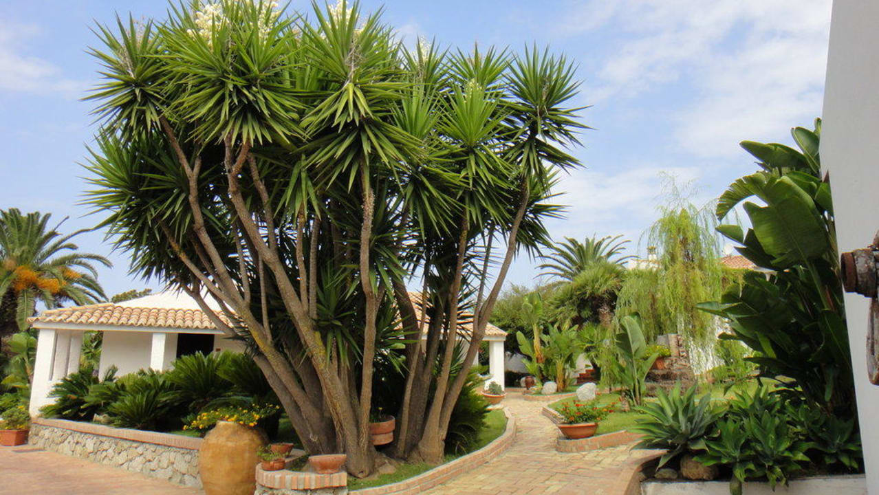 Gartenanlage Baia del Capo