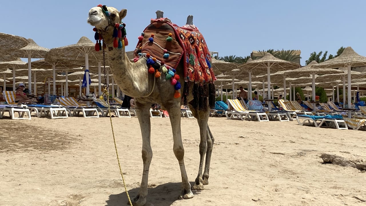 Strand Stella Beach Resort & Spa Makadi Bay