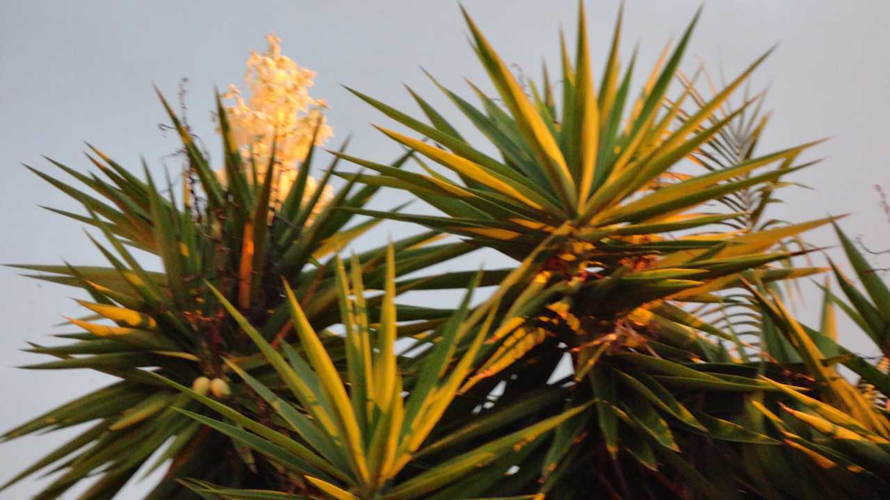Gartenanlage Jardin Mariposa Retreat- und Seminarzentrum