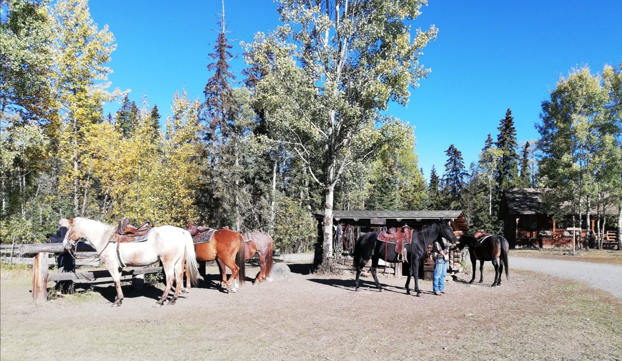 Sport & Freizeit Hotel Ten-ee-ah Lodge