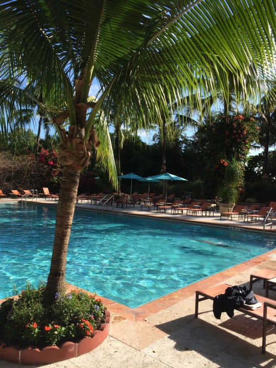 Pool The Palms Hotel & Spa