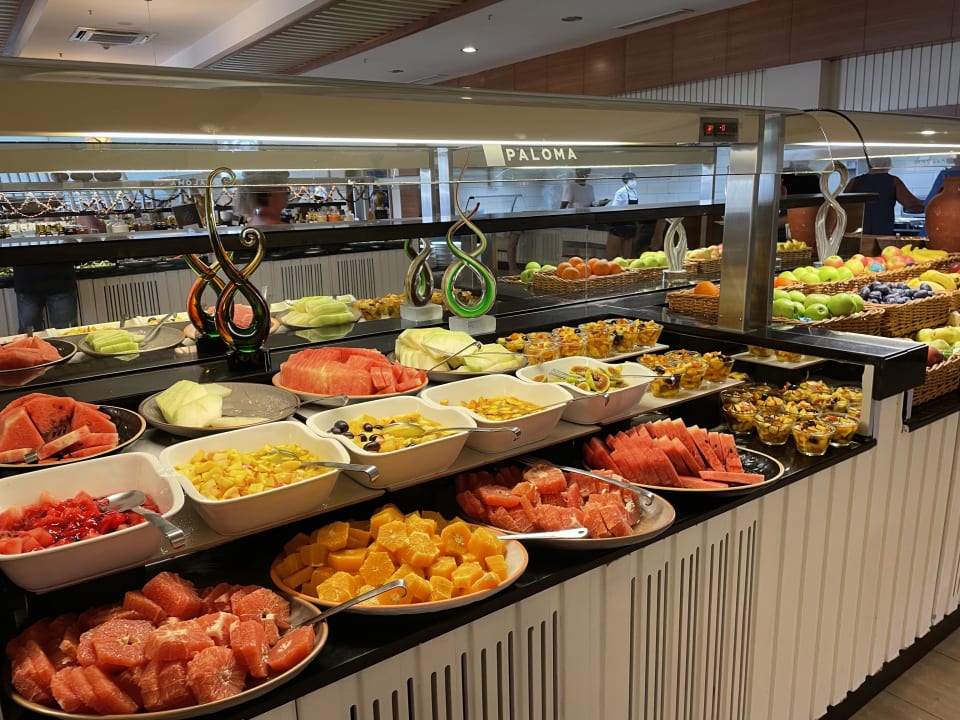 Gastro Paloma Oceana