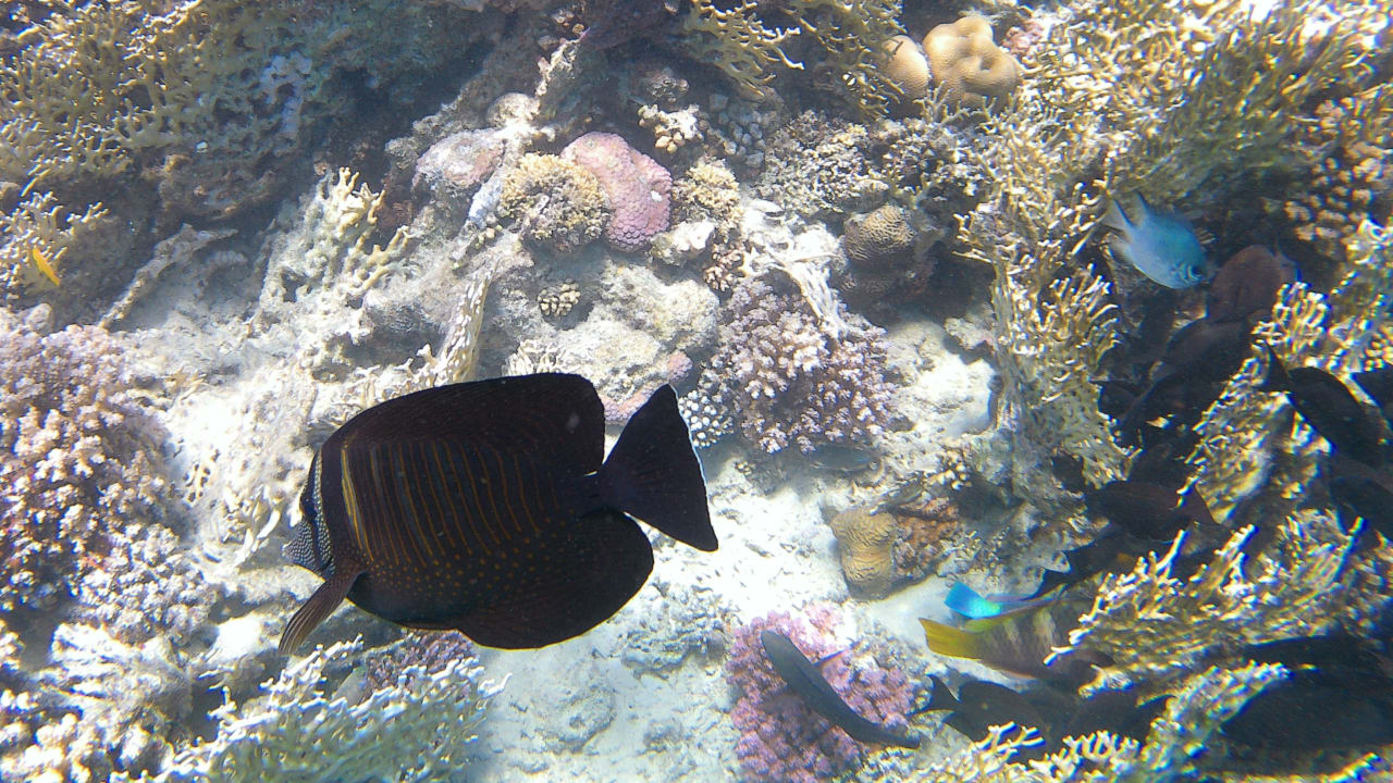 Sport & Freizeit Makadi Spa - Adults only