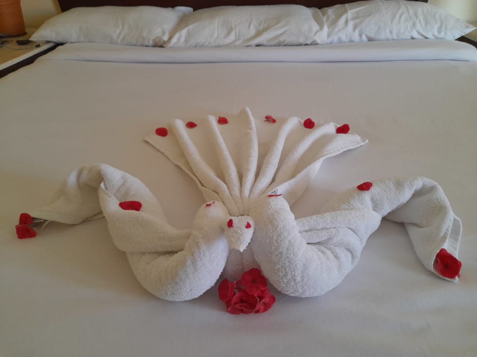 Zimmer Casa Mare Resort