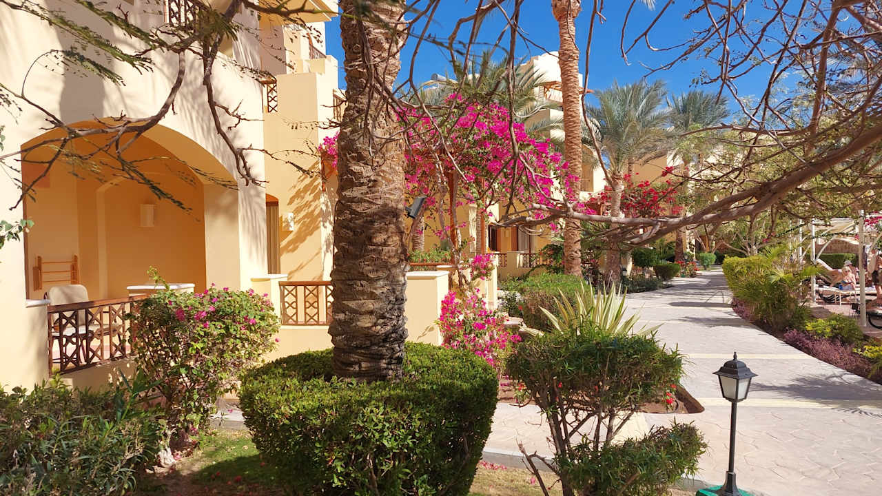 Außenansicht Steigenberger Coraya Beach - Adults only