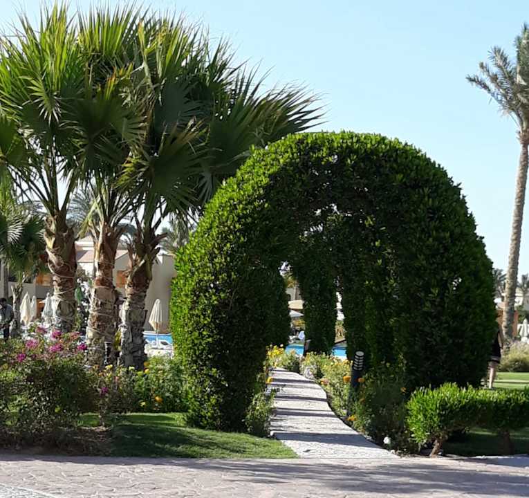 Gartenanlage Cleopatra Luxury Resort Makadi Bay