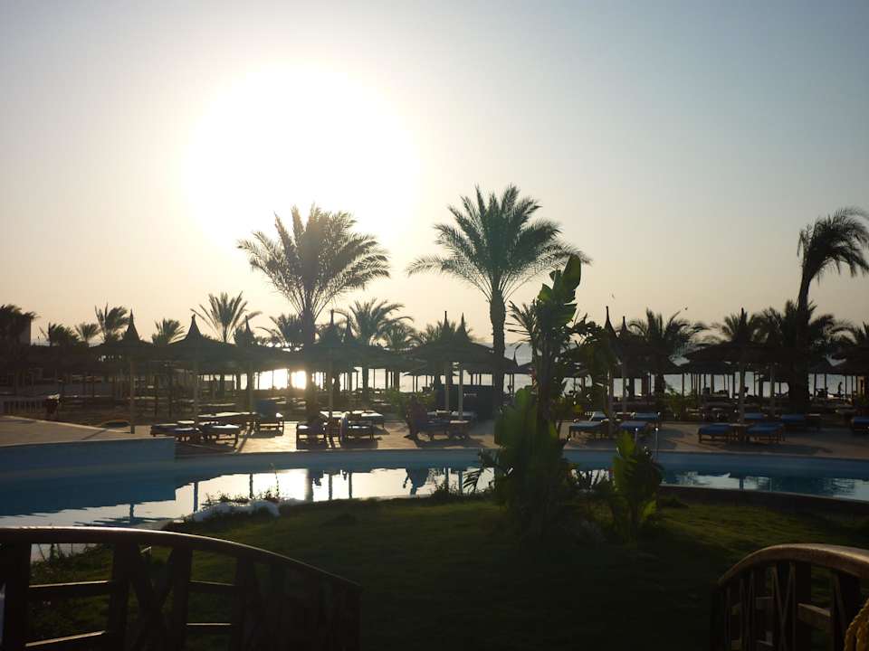 Pool mit Blick Richtung Meer Beach Albatros Resort