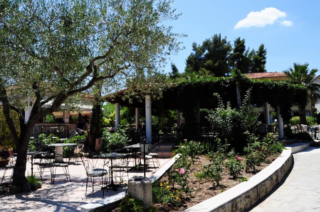 Widok na bar Hotel Chrousso Village