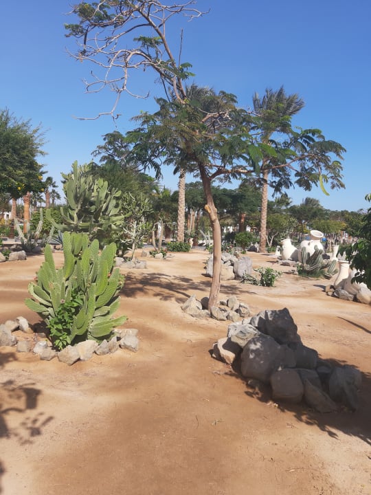 Gartenanlage Steigenberger Aqua Magic