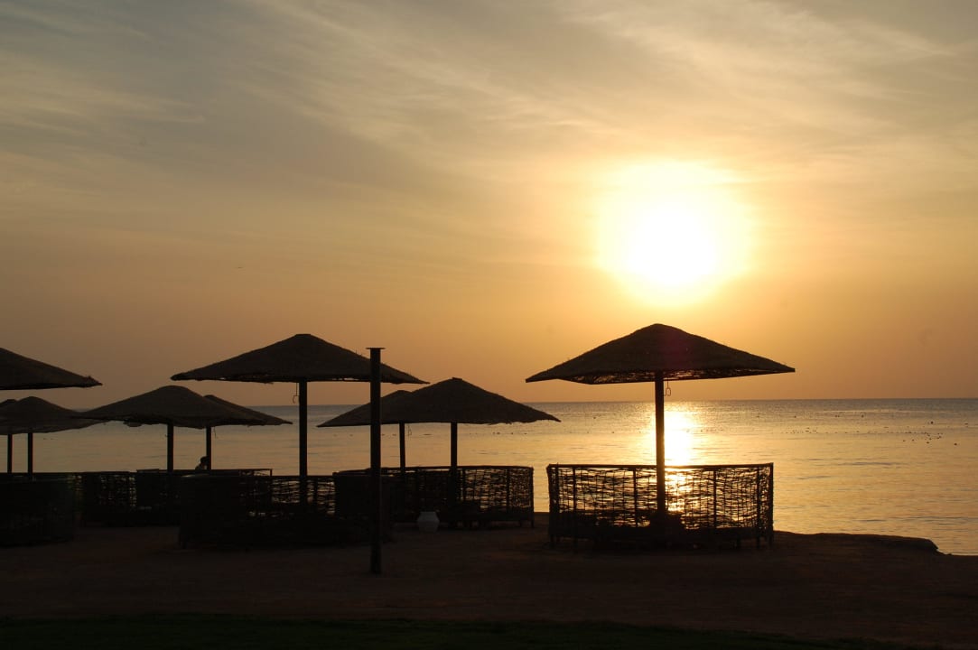 Ein Morgen am Spa Beach Makadi Spa - Adults only