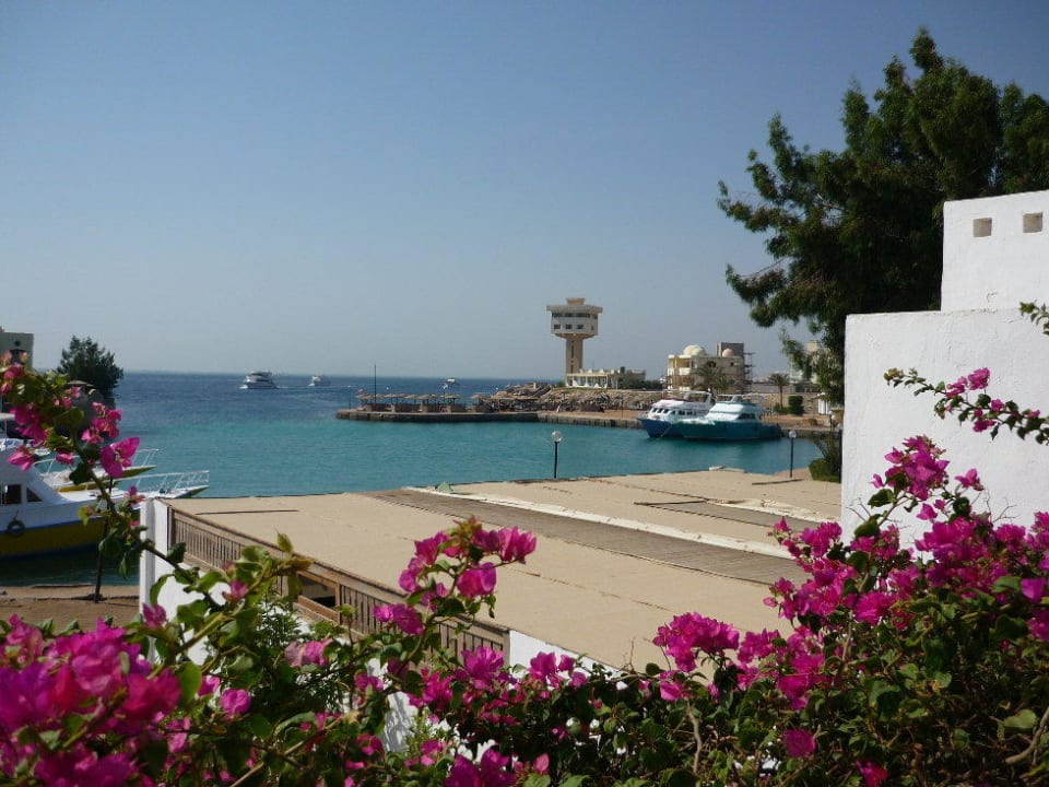Ausblick auf das hoteleigene Riff Arabella Azur Resort