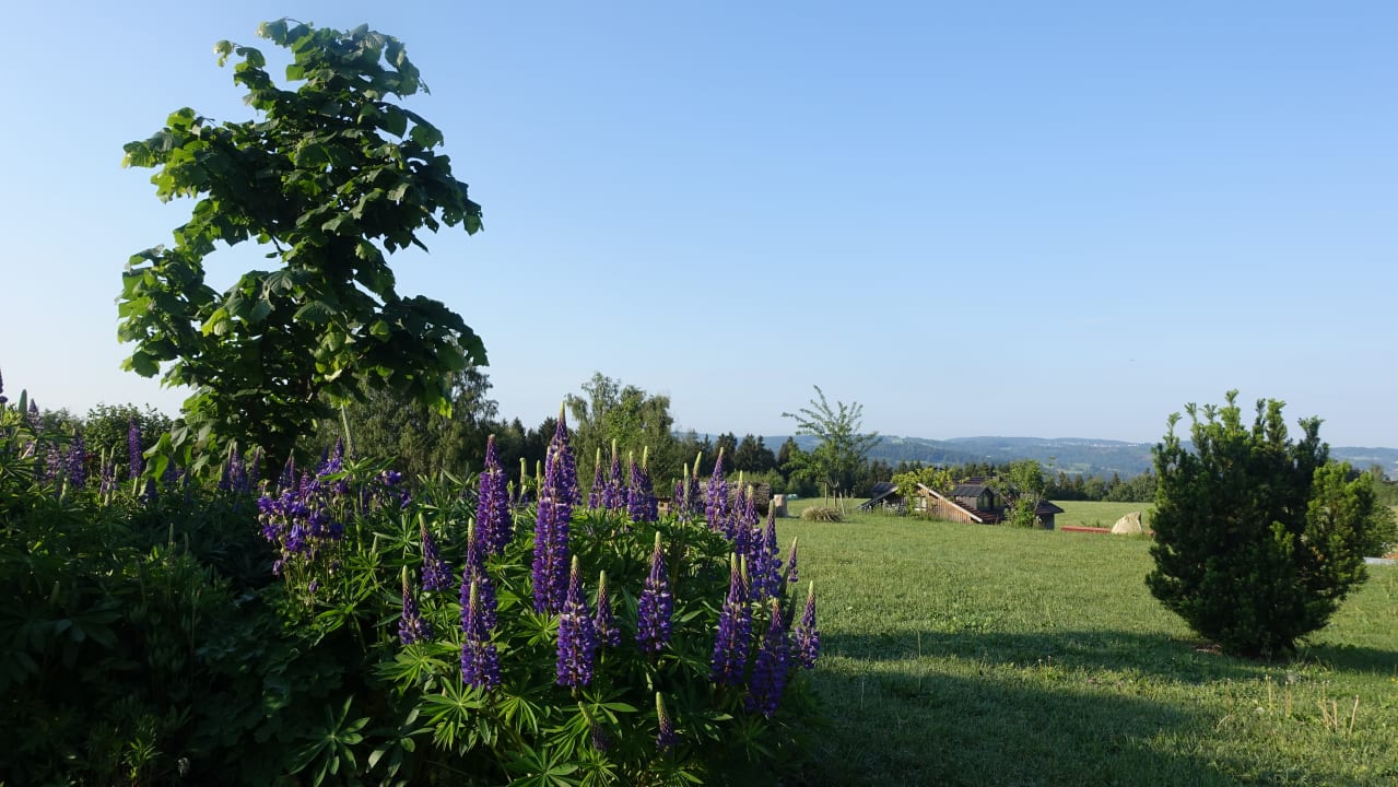 Ausblick 1. Bier & Wohlfühlhotel Gut Riedelsbach