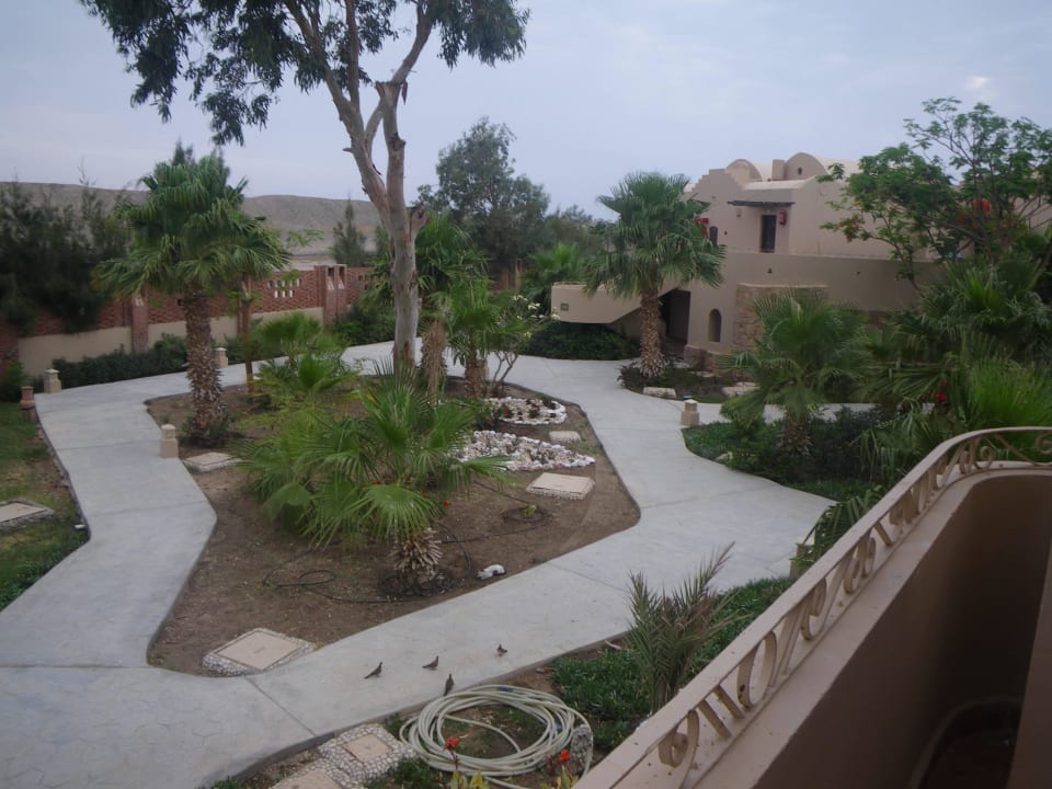 Vom eingang  Shams Alam Beach Resort