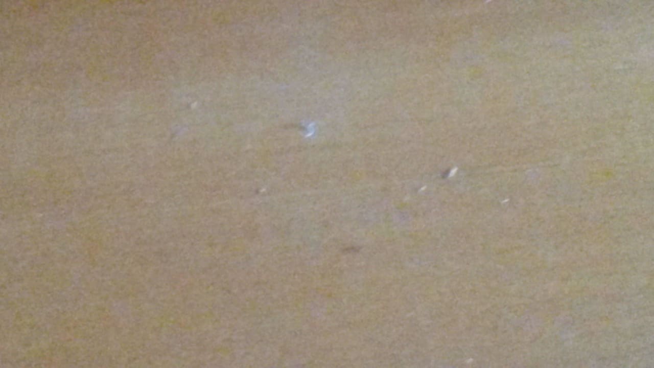 Staub wischen wäre nicht schlecht gewesen Terme Banovci - Hotel Zeleni Gaj