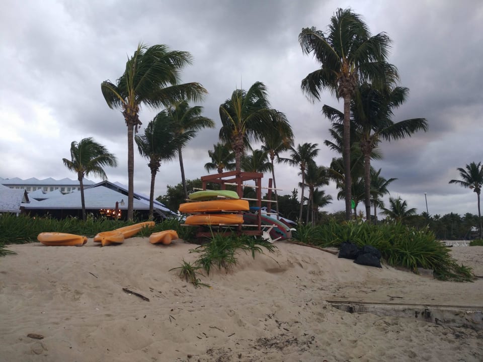 Lust auf eine Kanu Tour? Grand Paradise Playa Dorada