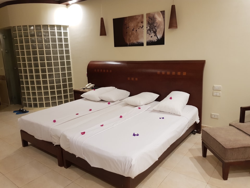 Zimmer Shams Prestige Abu Soma-Adults Only