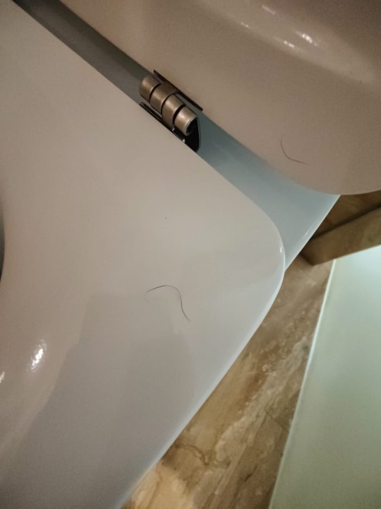 Zimmer Grupotel Picafort Beach