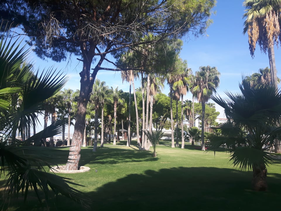 Gartenanlage Acanthus Cennet Barut Collection