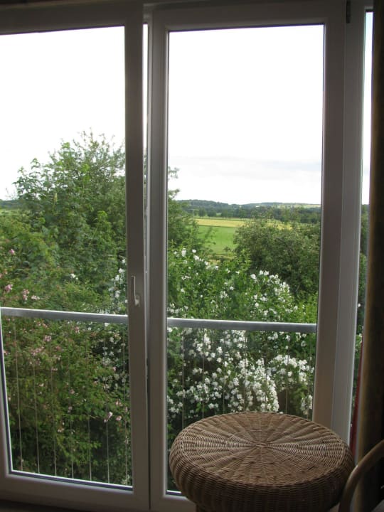 Blick nach außen Hotel Hirsch im Grünen