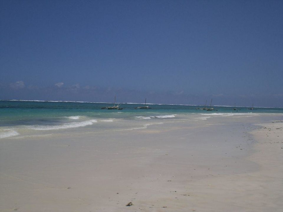 Blick aufs Meer Hotel Southern Palms Beach Resort