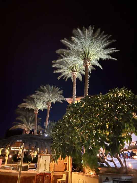 Gartenanlage Marriott Hurghada Beach Resort