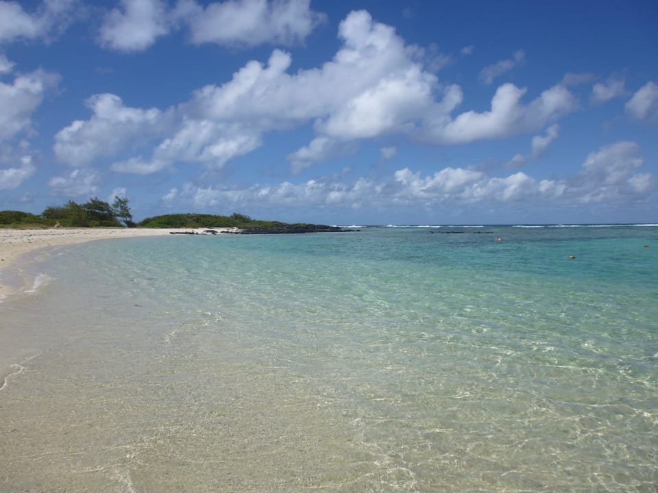 Strand Friday Attitude