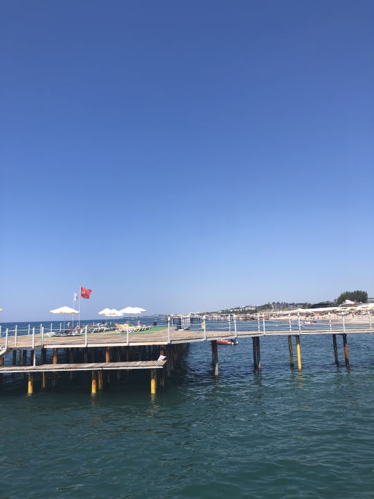 Strand Dizalya Palm Garden