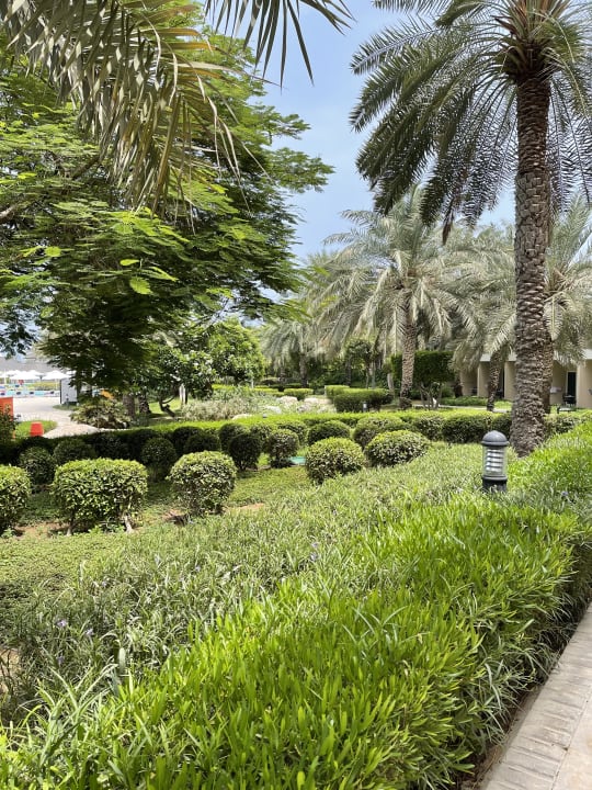 Gartenanlage Fujairah Rotana Resort & Spa