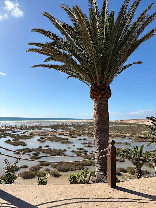 Ausblick Paradisus by Meliá Fuerteventura