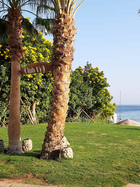 Gartenanlage Fort Arabesque Resort, Spa & Villas