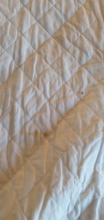 Zimmer Sidemarin Kirman Premium