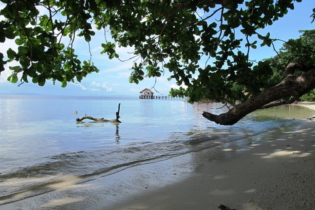 Einfach nur genießen Papua Paradise Eco Resort