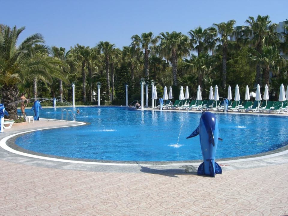 Ruhepool an der Island Bar Botanik Hotel & Resort
