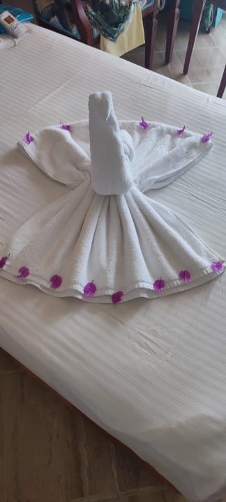 Zimmer Malikia Resort Abu Dabbab