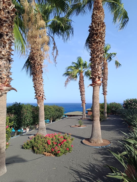 Gartenanlage Marina Playa Suite Hotel