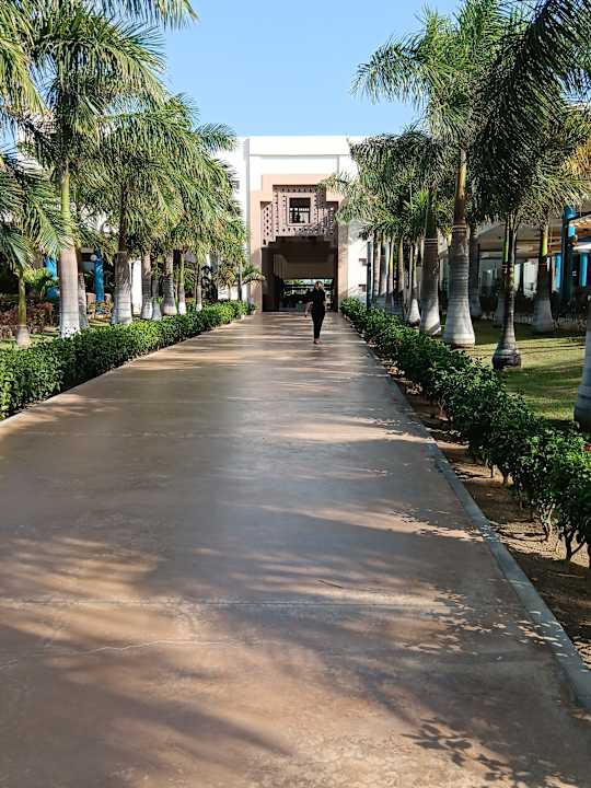 Gartenanlage Hotel Riu Palace Boavista