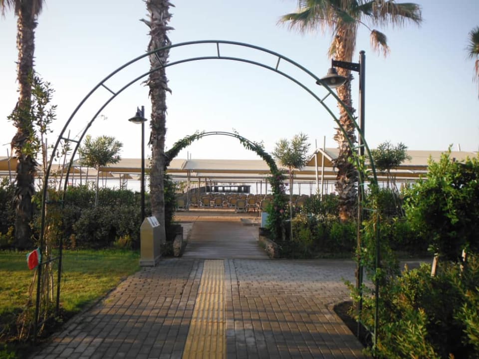 Royal Seginus Royal Seginus