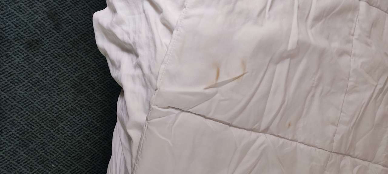 Zimmer Hotel La Quinta Inn Reno Airport